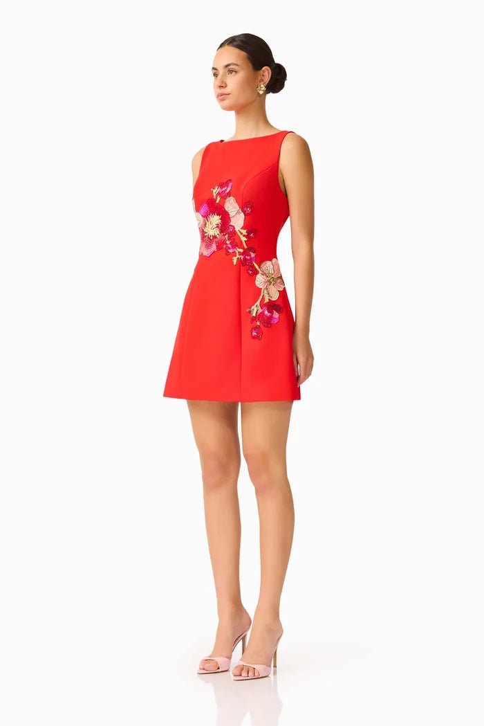 Fleurisca Mini Dress