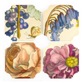 Floral Coasters  S/4