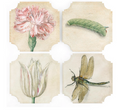 Flowers and Bugs Coasters  S/4