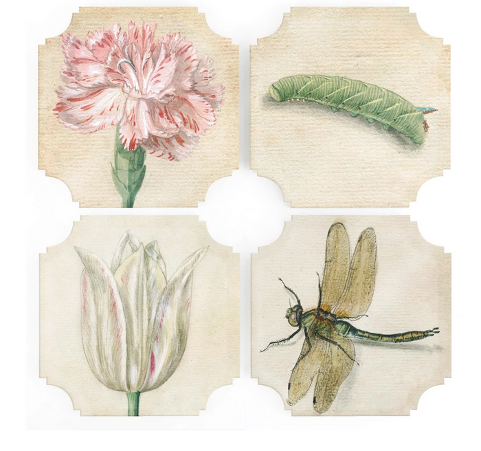 Flowers and Bugs Coasters  S/4