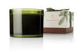 Frasier Fir 17oz Poured
Candle, 3-wick, Green