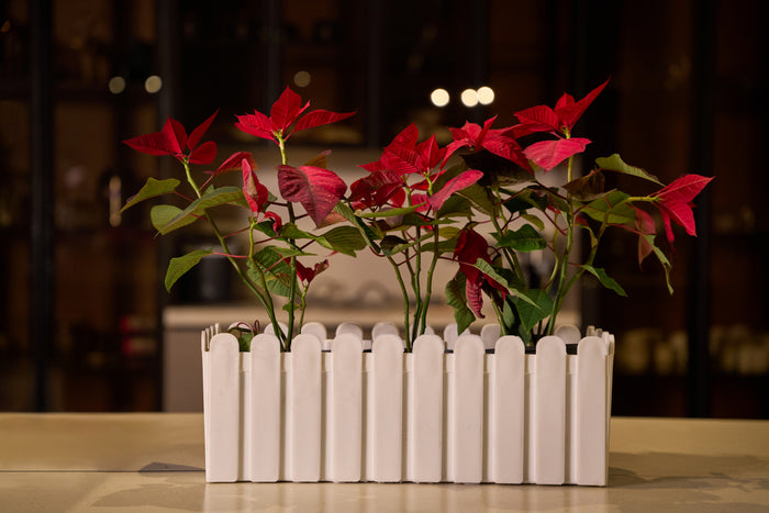 Greenri French Window window planter - product view 1