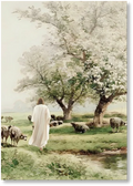 Gentle Shepherd - Print