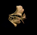 Ginko Napkin Rings, Set of Four