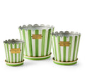grass green stripe pots & saucers