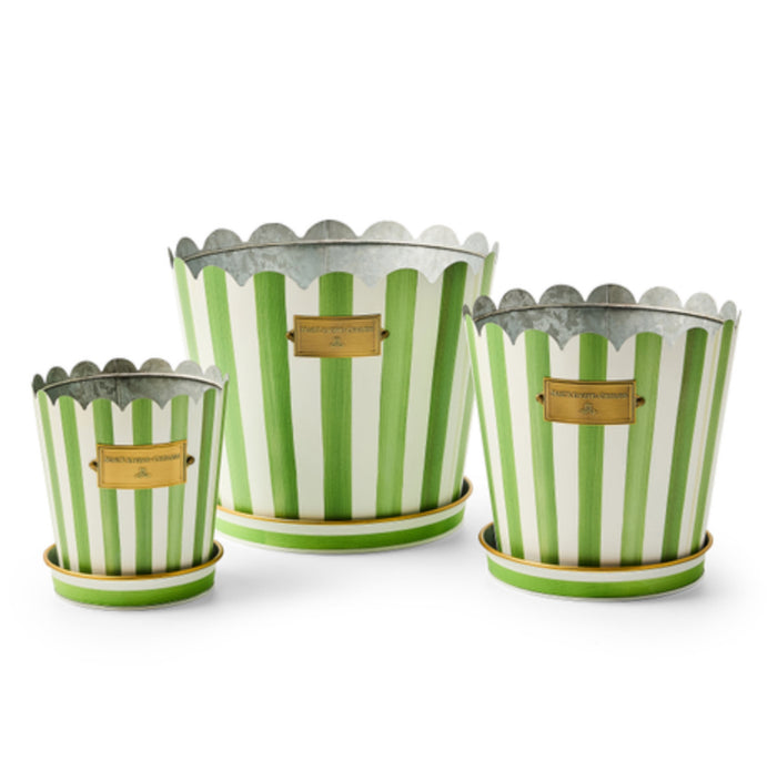 grass green stripe pots & saucers
