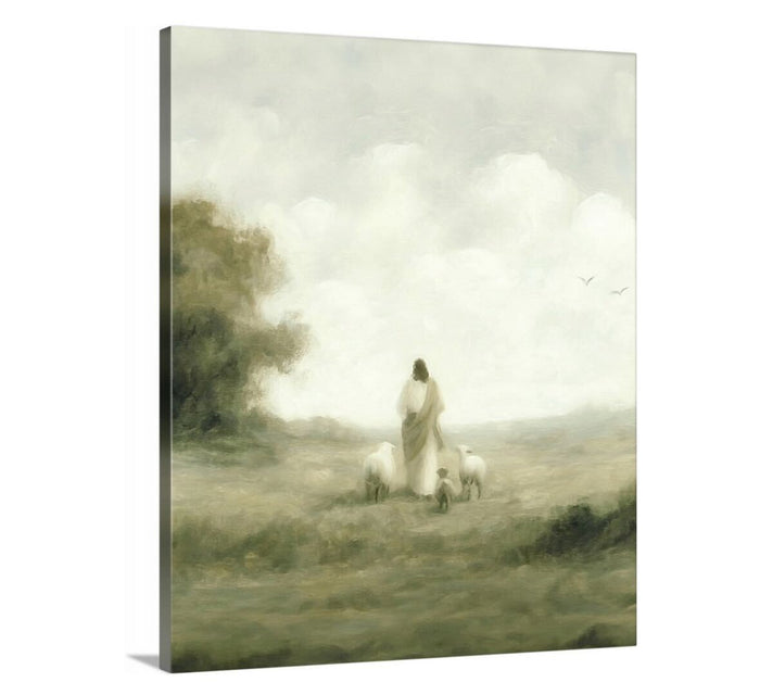 Guided - Canvas