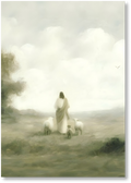 Guided - Print