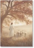 He Knows His Sheep - Print