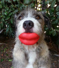 Humunga Lips: Mini