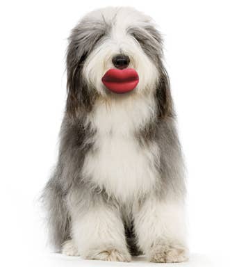 Humunga Lips: Mini