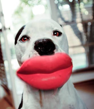 Humunga Lips: Mini
