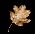 Hydrangea Leaf Dish