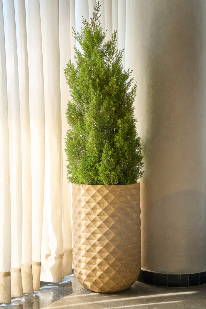 Greenri I-Grandeur large statement planter - product view 1