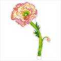 Iceland Poppy Large Acrylic Flower