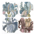Iris Coasters - set of 4