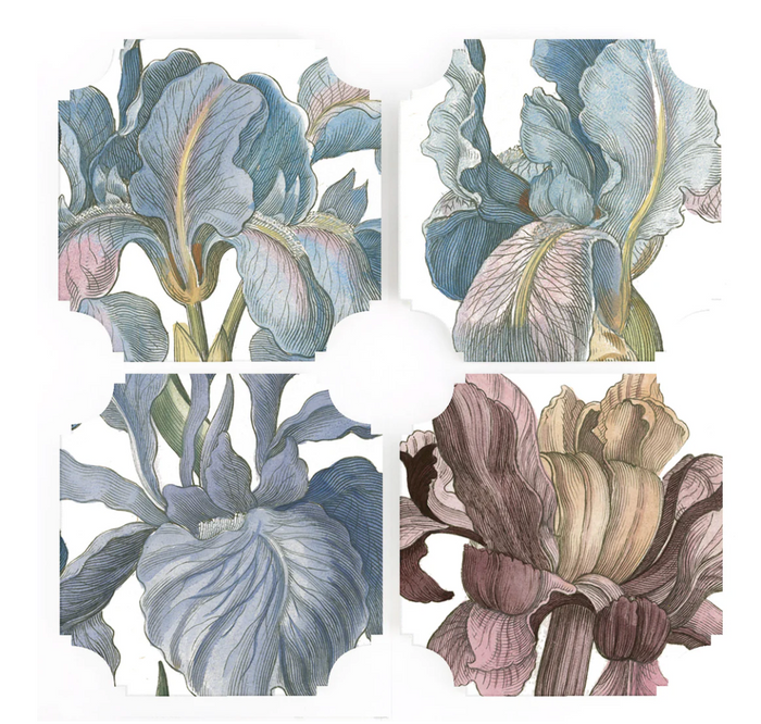 Iris Coasters - set of 4