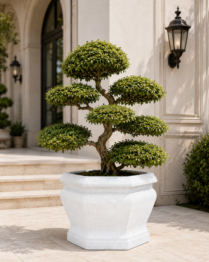 Greenri Konara large statement planter - product view 6