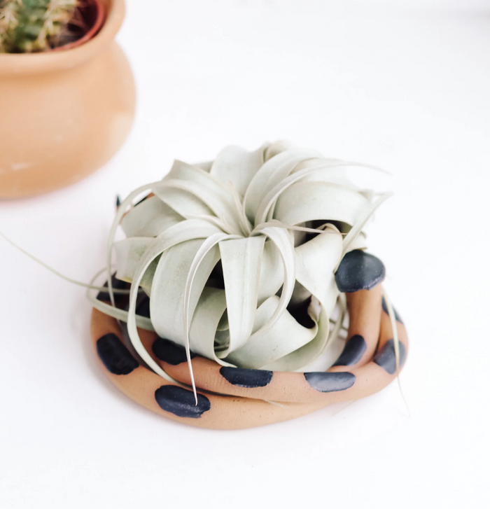 Large Ceramic Snake