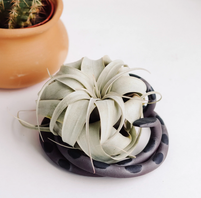 Large Ceramic Snake