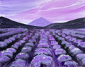 Lavender Fields