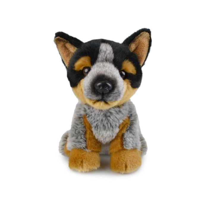 Lil Friends - Blue Heeler