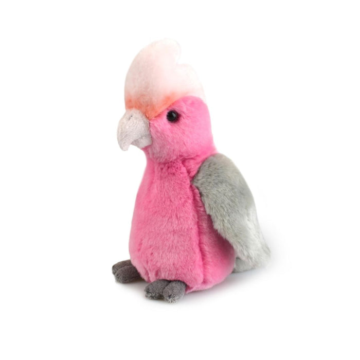 Lil Friends - Galah