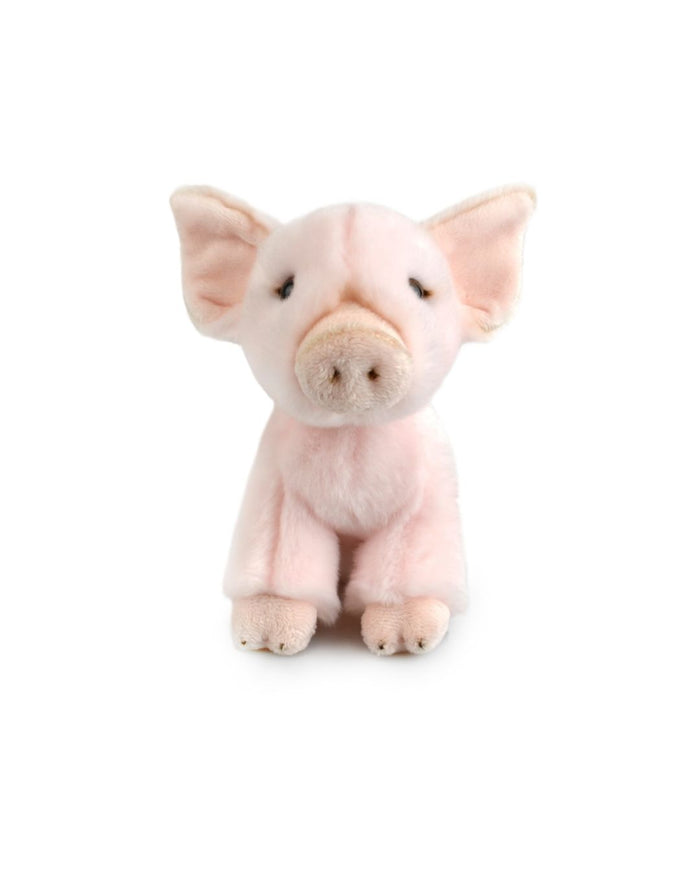 Lil Friends - Pig