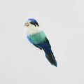 Little Kingfisher