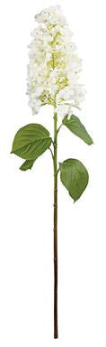 Long stems