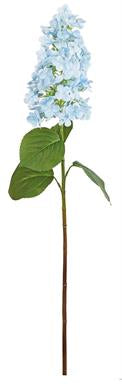 Long stems