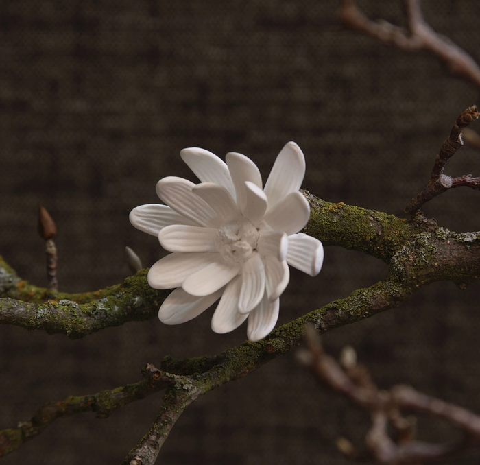 Magnolia Flower