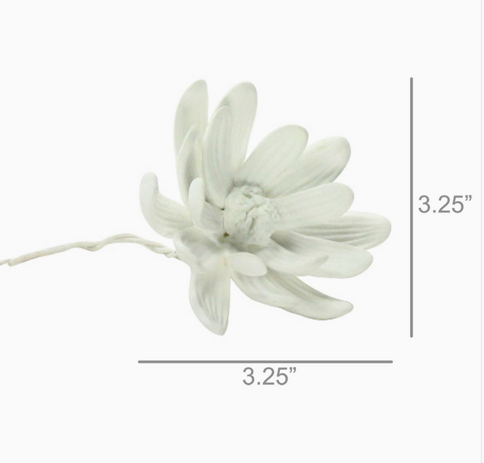 Magnolia Flower