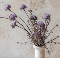 Melaleuca Purple Stem, Faux