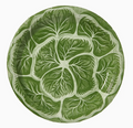 Melissa's Garden Cabbage Dinner Plates Pack of 8