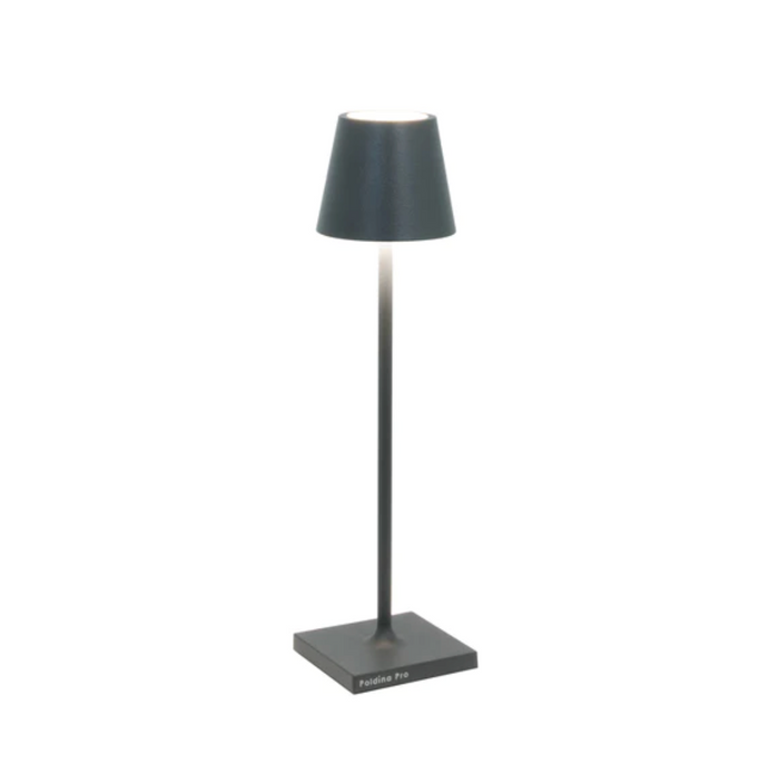 Micro Poldina Pro