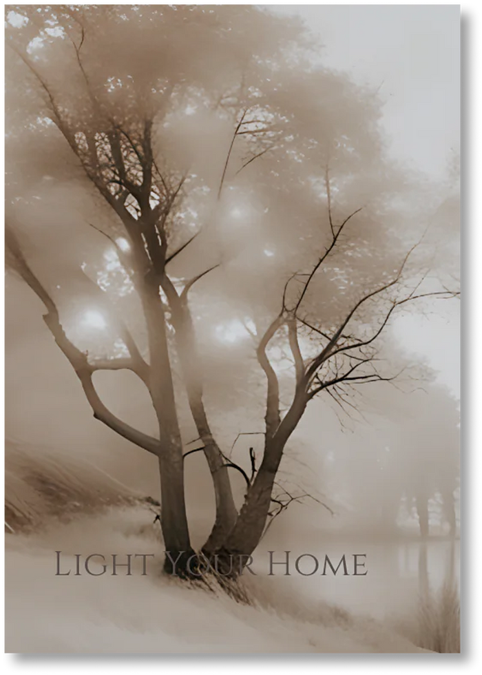 Morning Dew - Print