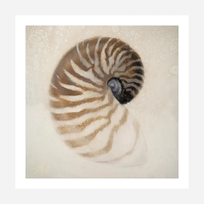 Nautilus Canvas Art - Coastal Compass Home Decor