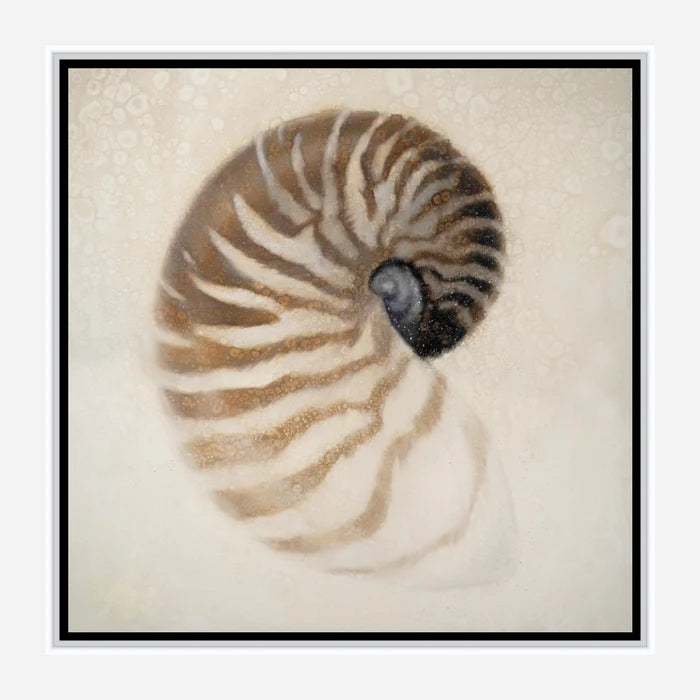 Nautilus Canvas Art Black Frame - Coastal Compass Home Decor