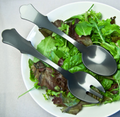 Old Fashioned Salad Tongs - Dark Grey