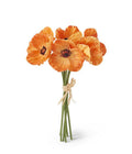 Orange poppy bundle