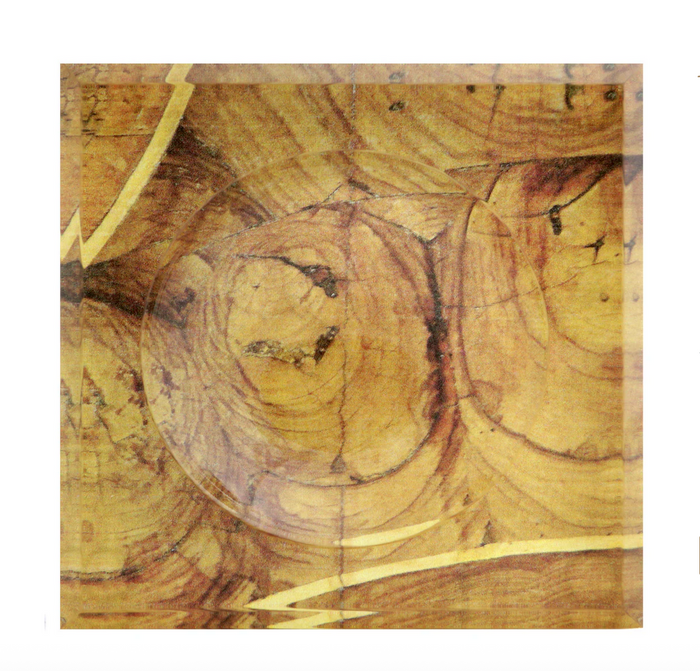 Oyster Wood Soap Dish