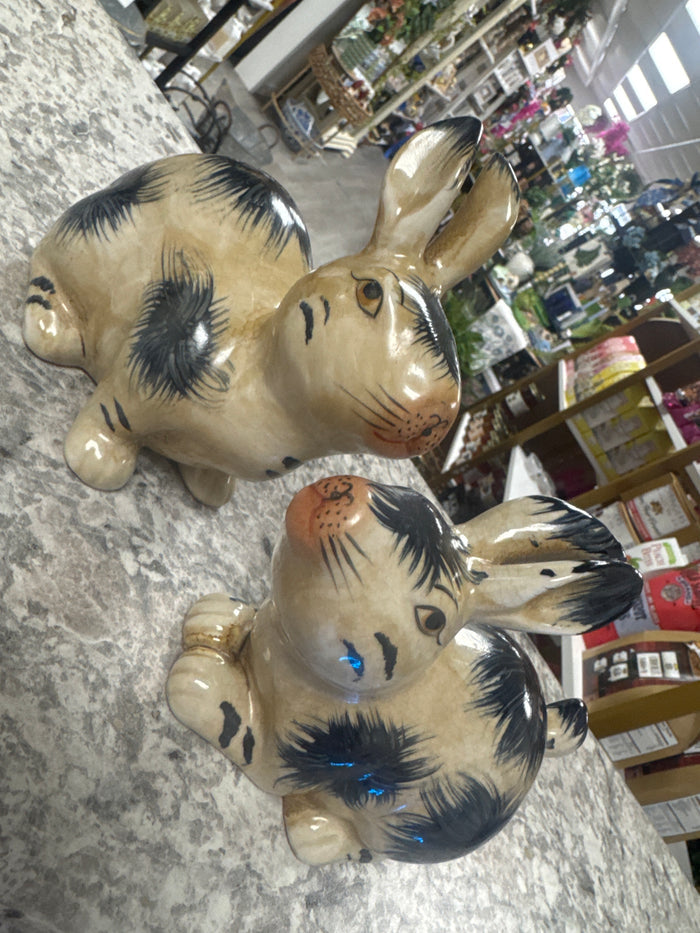 Pair of blue bunnies
