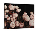 Peonies - Canvas