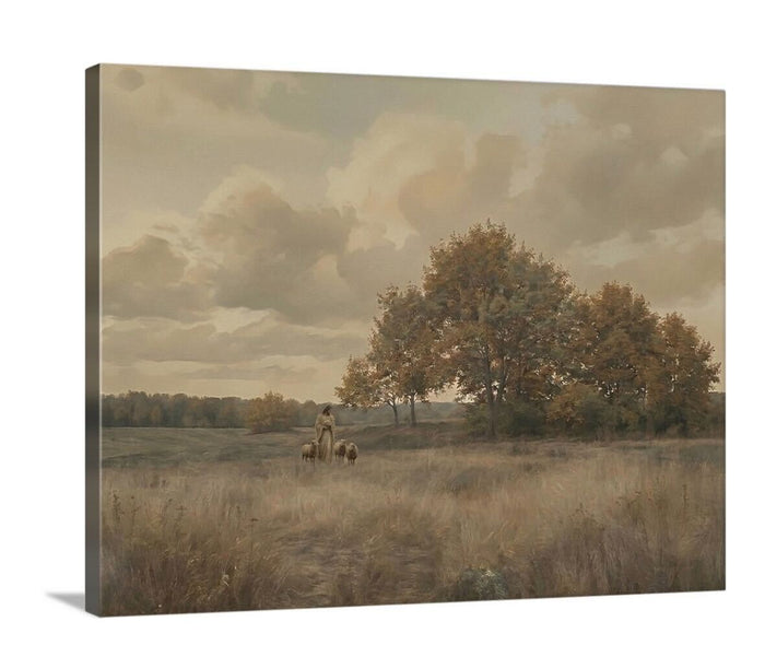 Quiet Meadow - Canvas