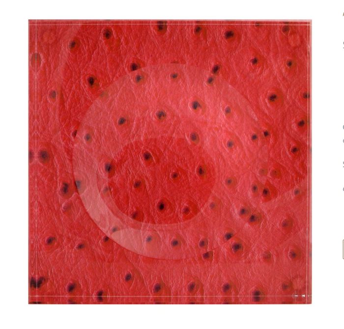 Red Ostrich Coasters  - Set of Four