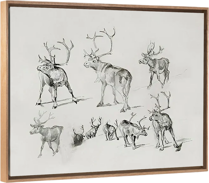 Reindeer - Canvas