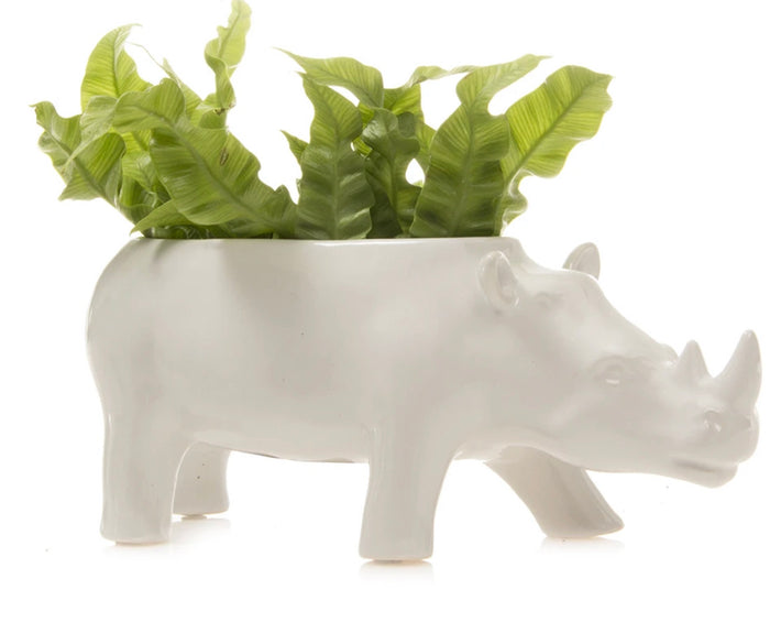 Rhino - White Vase / Planter