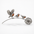Robin Birds