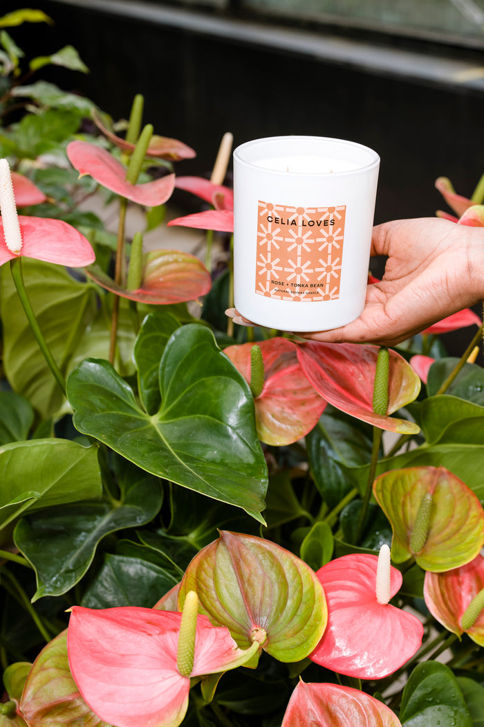 Rose + Tonka Bean Candle